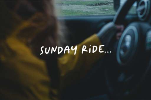 Aesthetic Sage Font - Handwriting Logo Font From Jimtype Studio