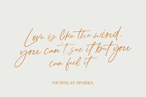 Amelia Bloomer Font - Script Business Font From Jimtype Studio