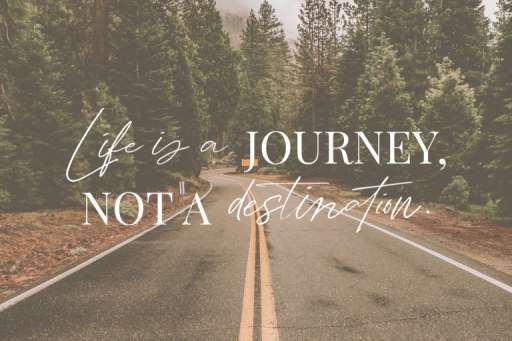 Amelia Bloomer Font - Script Business Font From Jimtype Studio