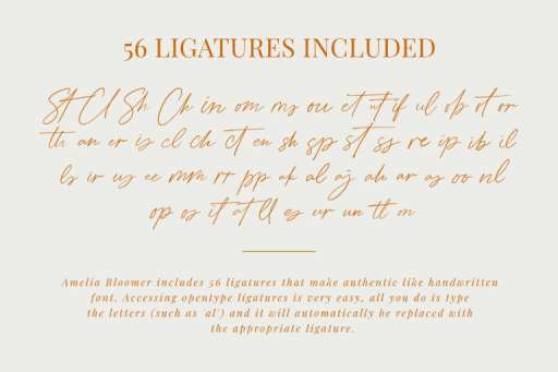 Amelia Bloomer Font - Script Business Font From Jimtype Studio