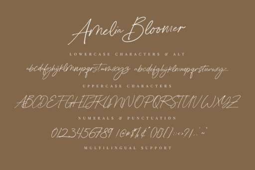 Amelia Bloomer Font - Script Business Font From Jimtype Studio