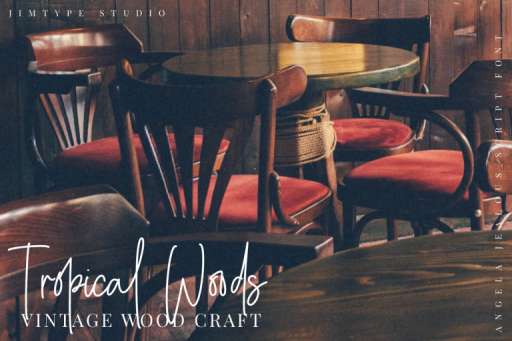 Angelica Jealous Font - Script Business Font From Jimtype Studio