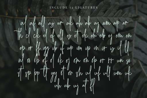 Angelica Jealous Font - Script Business Font From Jimtype Studio