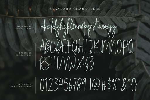 Angelica Jealous Font - Script Business Font From Jimtype Studio