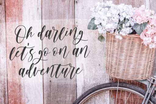 Apricot Farmhouse Font - Farmhouse Font Jimtype Studio