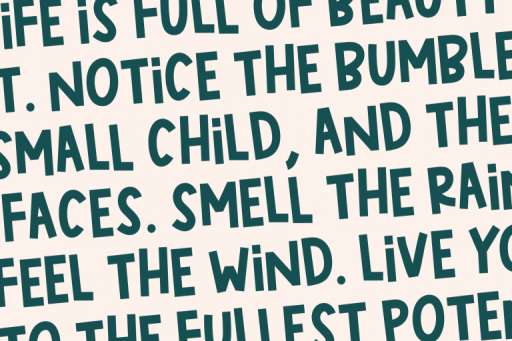 Cheeky Chic Font - Handwriting Logo Font Jimtype Studio