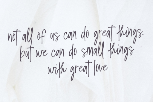 Dandelions Font - Script Business From Jimtype Studio