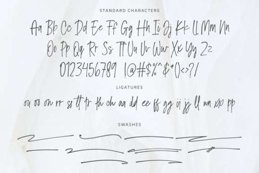 Dandelions Font - Script Business From Jimtype Studio