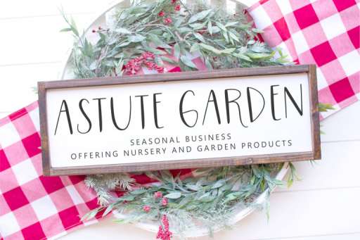 Esmeralda Font - Handwriting Font From Jimtype Studio