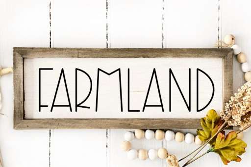 Farmstand Market Font - Tall and Skinny Font From Jimtype Studio