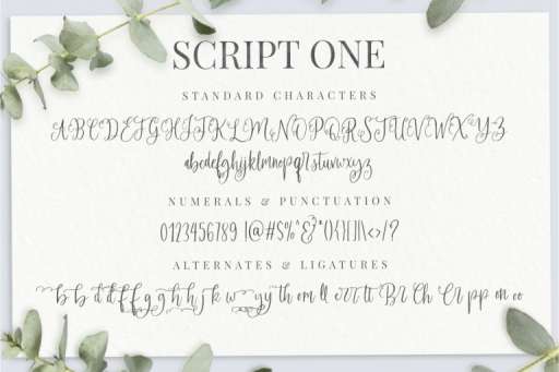 Felichiya Collection Font - Premade Logo Framhouse Theme
