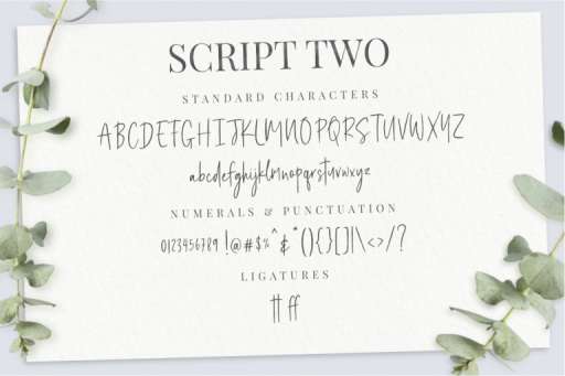 Felichiya Collection Font - Premade Logo Framhouse Theme