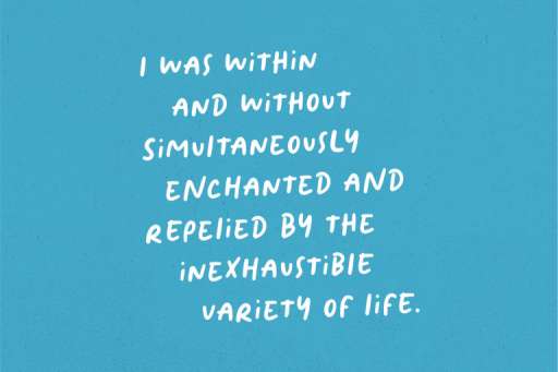 Frenchy Font - Handwriting Logo Font From Jimtype Studio