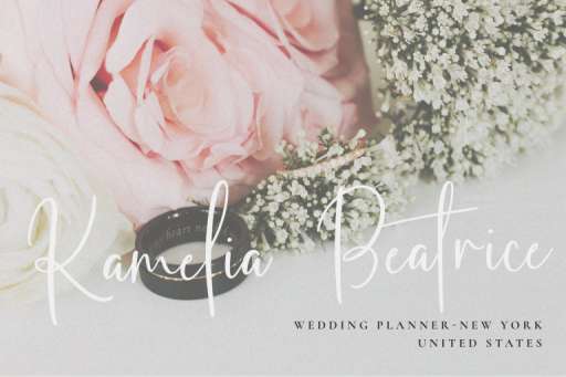 Frunchy Font - Script Business Font Jimtype Studio