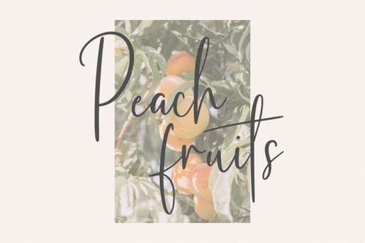 Frunchy Font - Script Business Font Jimtype Studio