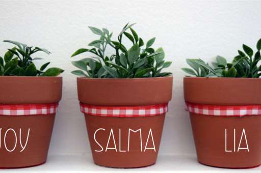 Handwritten Farmhouse Bundle - Logo Font From Jimtype Studio