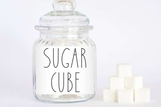 Handwritten Farmhouse Bundle - Logo Font From Jimtype Studio