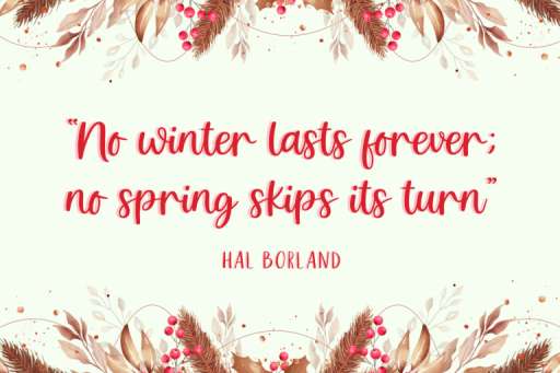 Holiday Wishes Font - Business Font From Jimtype Studio