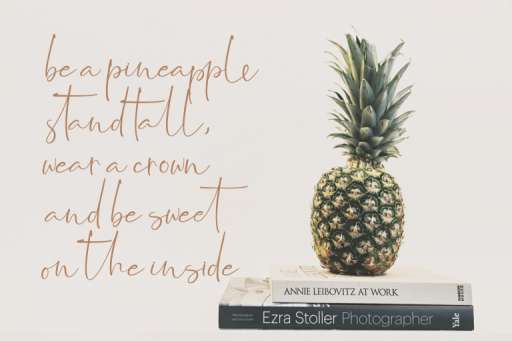 Jasmine Font - Script Business Font From Jimtype Studio