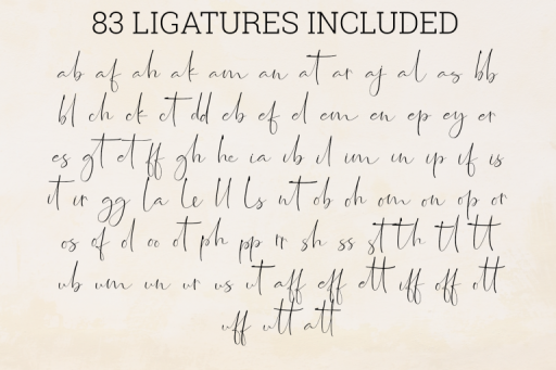 Jasmine Font - Script Business Font From Jimtype Studio