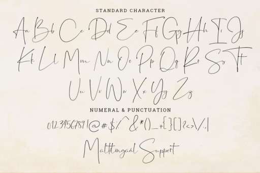 Jasmine Font - Script Business Font From Jimtype Studio