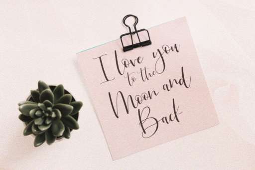 Just Love Font - Wedding Business Font From Jimtype Studio