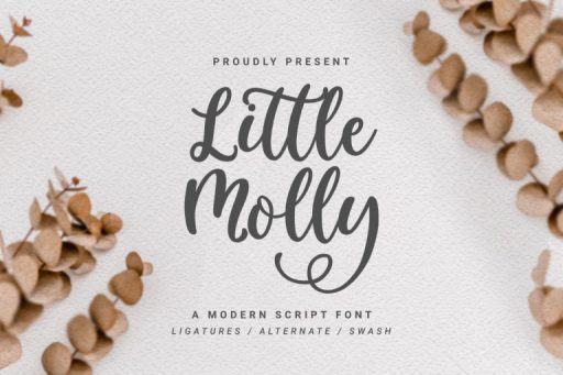 Little Molly Font - Script Business Font From Jimtype Studio