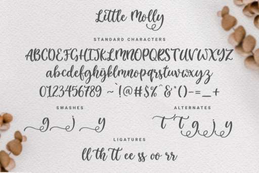 Little Molly Font - Script Business Font From Jimtype Studio