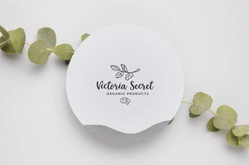 Little Molly Font - Script Business Font From Jimtype Studio