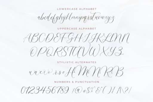 Maligai Font - Wedding Business Font From Jimtype Studio