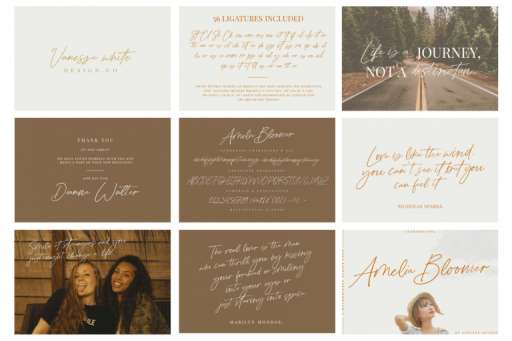 Popular Font Bundle - Font From Jimtype Studio