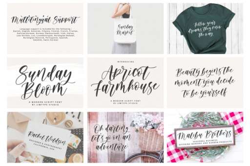 Popular Font Bundle - Font From Jimtype Studio