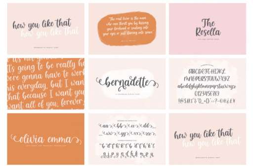 Popular Font Bundle - Font From Jimtype Studio