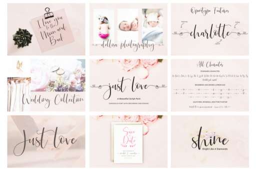 Popular Font Bundle - Font From Jimtype Studio