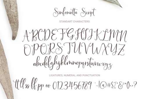 Sinfonietta Font - Script Business Font From Jimtype Studio