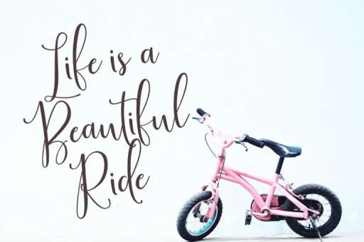 Sinfonietta Font - Script Business Font From Jimtype Studio