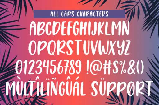 Summer in California Font - CHandwriting Font From Jimtype Studio