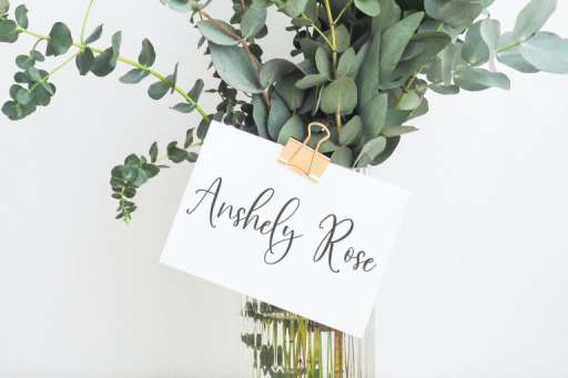 Sunday Bouquet - Script Business Font Jimtype Studio