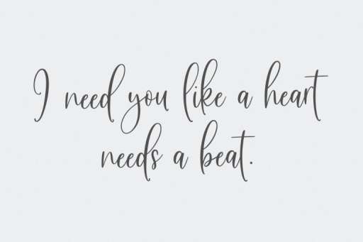 Sunday Bouquet - Script Business Font Jimtype Studio