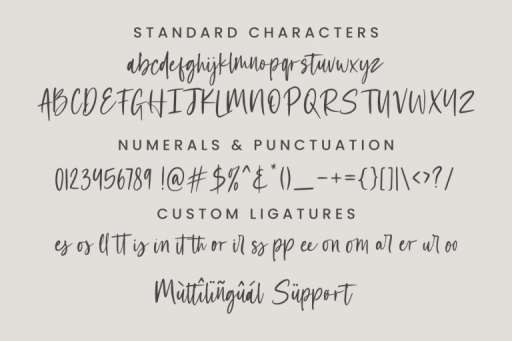 Wednesday Font - Script Business Font From Jimtype Studio