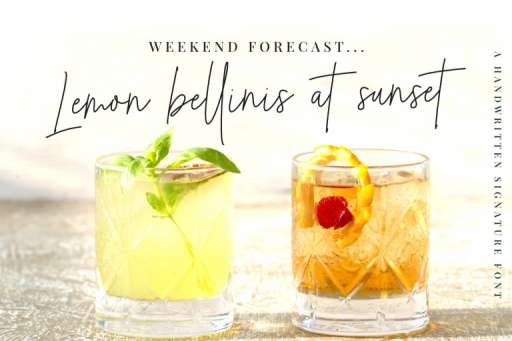 Rufina Signature Font Business Purpose