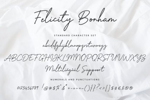 Felicity Bonham Font - Business Branding Font - Jimtype Studio