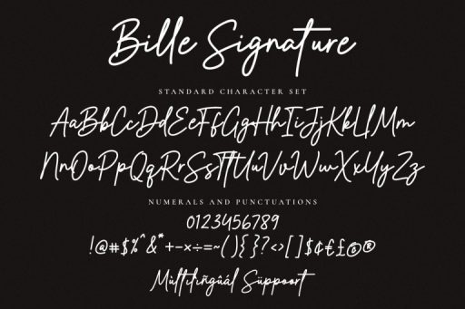 Billie Signature - Business Branding Font - Jimtype Studio