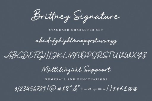 Brittney Signature Font - Business Branding Font - Jimtype Studio