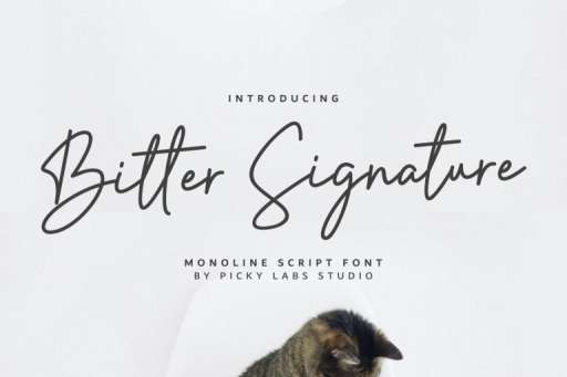 Bitter Signature Font - Business Branding Font From Jimtype Studio