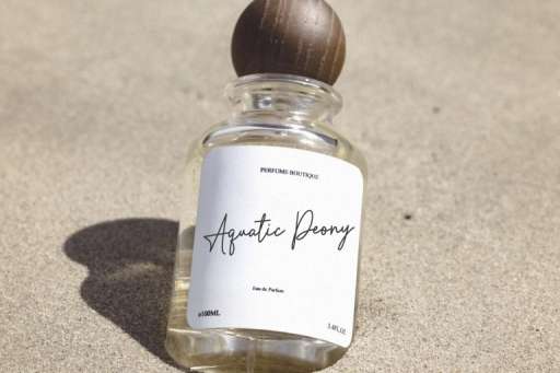 Bitter Signature Font - Business Branding Font From Jimtype Studio