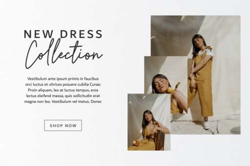 Bitter Signature Font - Business Branding Font From Jimtype Studio