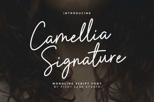 Camellia Signature Font - Business Branding Font From Jimtype Studio