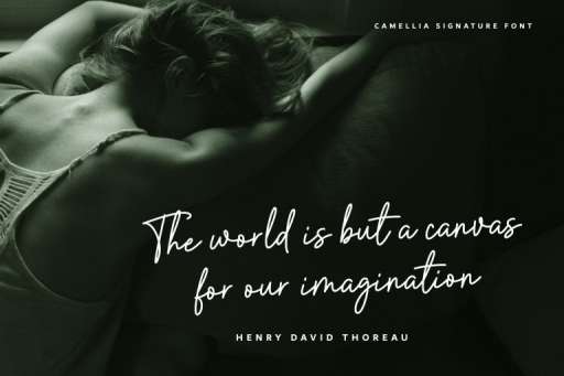 Camellia Signature Font - Business Branding Font From Jimtype Studio