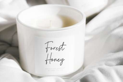 Camellia Signature Font - Business Branding Font From Jimtype Studio